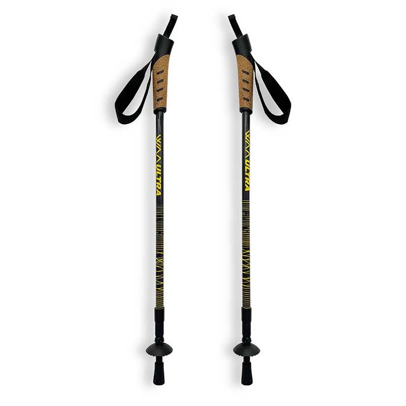 Carbon sales walking poles